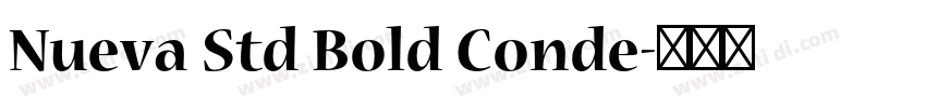 Nueva Std Bold Conde字体转换